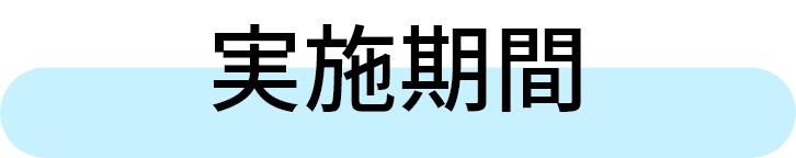 実施期間